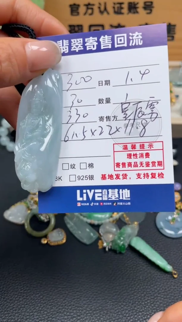 颈饰未镶嵌翡翠10153003