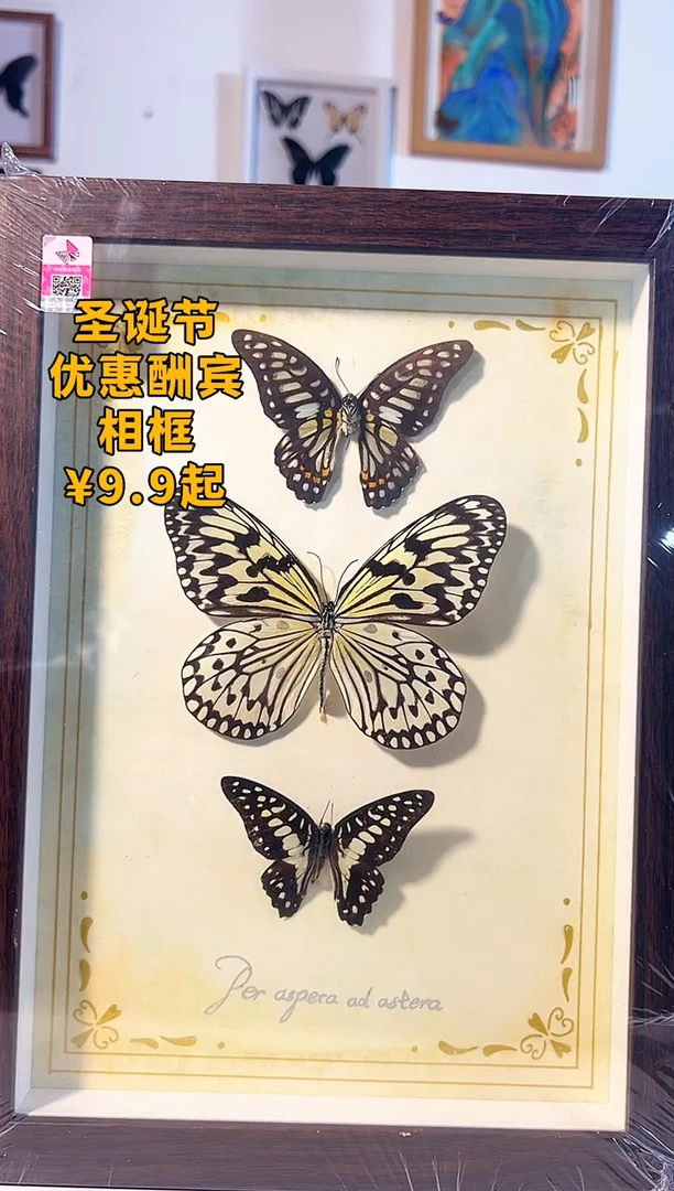 有机玻璃相框蝴蝶