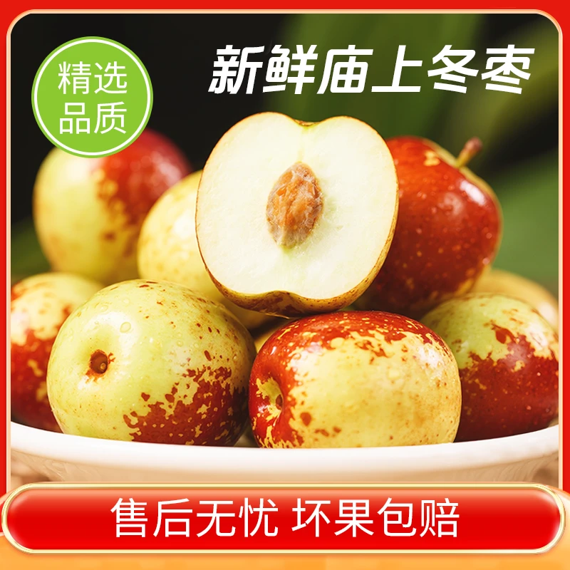 【大夏臻品】山西庙上冬枣现摘现发脆甜爽口当季新鲜水果（顺丰包邮）