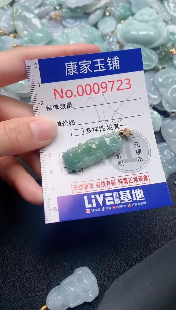 颈饰未镶嵌翡翠9723