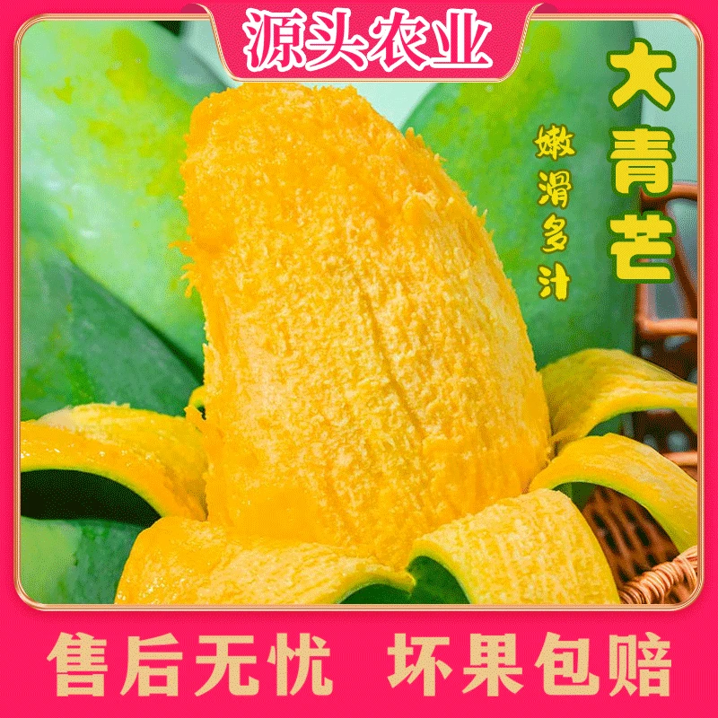 【大青芒】云南青皮芒果新鲜当季水果 3斤/4.5斤 HH