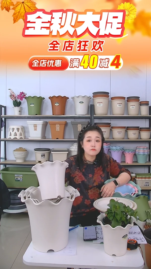 6套荷叶边5002，米白色，无托盘