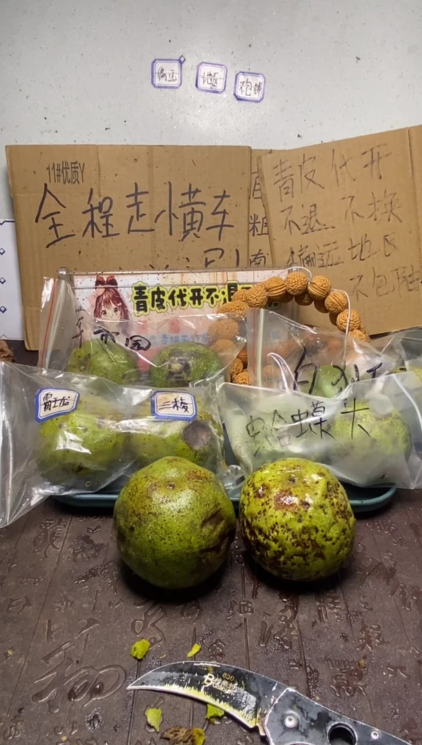 不退不换zjc蛤蟆头04