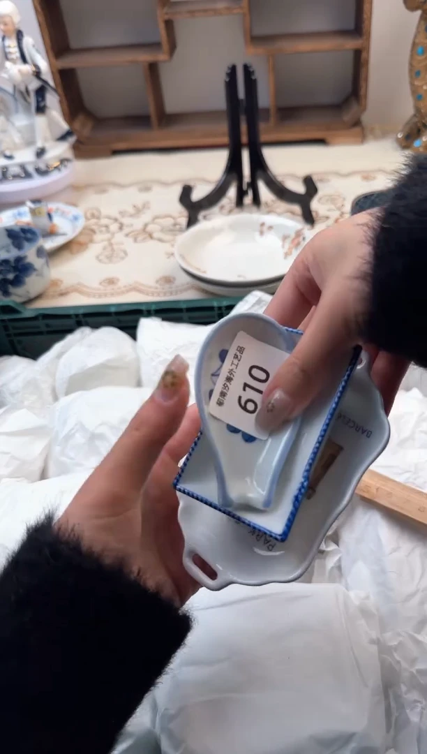 【闪购商品】瓷片Z           610