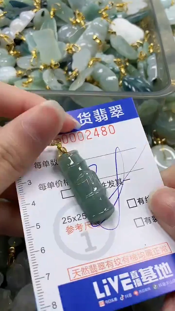 颈饰未镶嵌翡翠纯天然a货翡翠