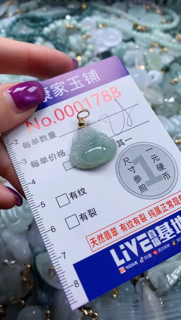 颈饰未镶嵌翡翠1788