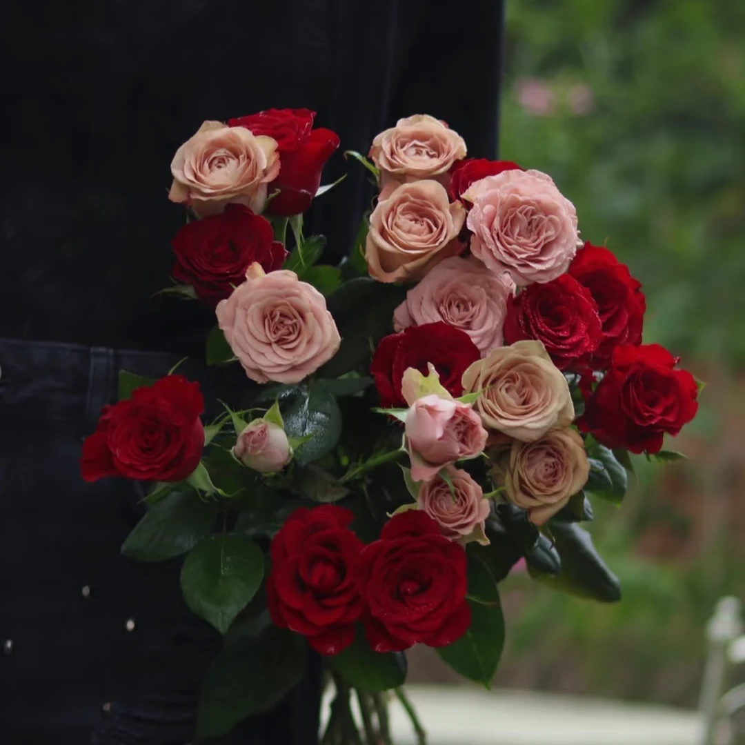 【卡布奇诺10支+高原红10支】云南鲜花基地直发 两单升级顺丰/空运