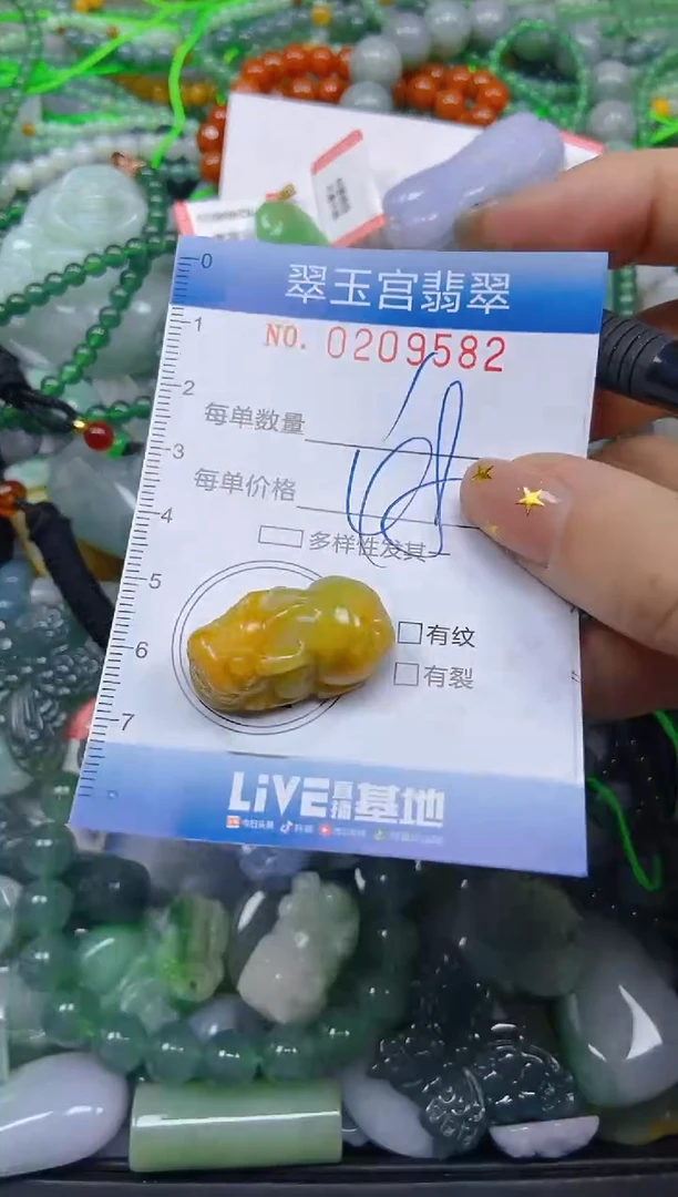 颈饰未镶嵌翡翠闪购C0209582