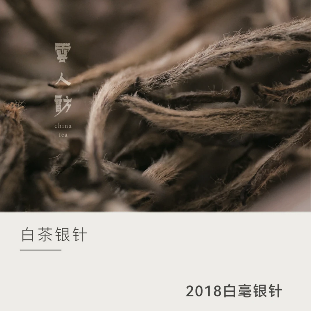 【云人访】茶叶政和白茶 2018年白毫银针 罐装