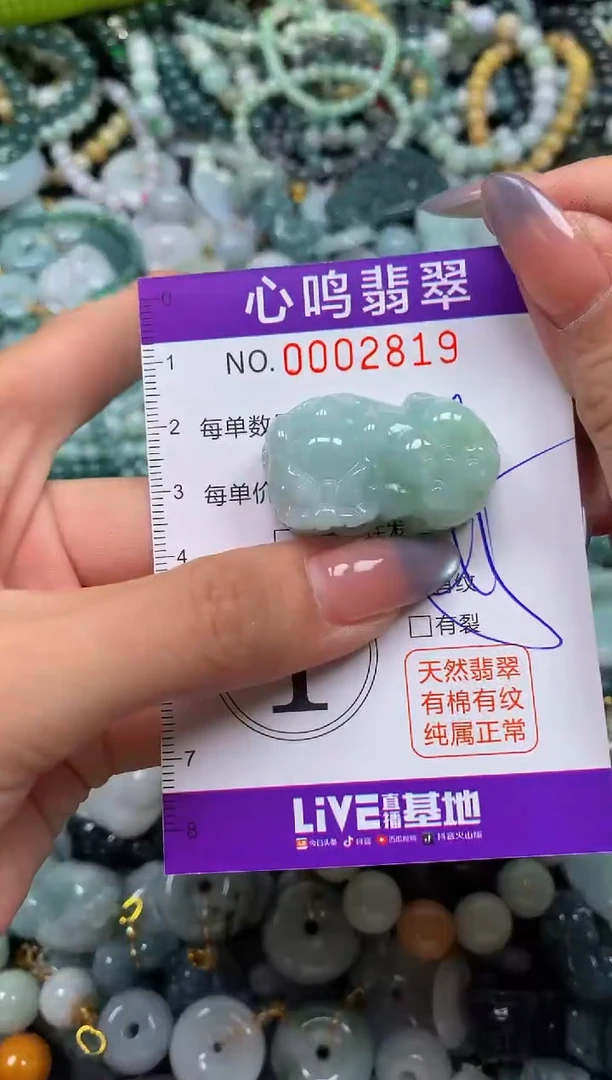 颈饰未镶嵌翡翠闪购002819