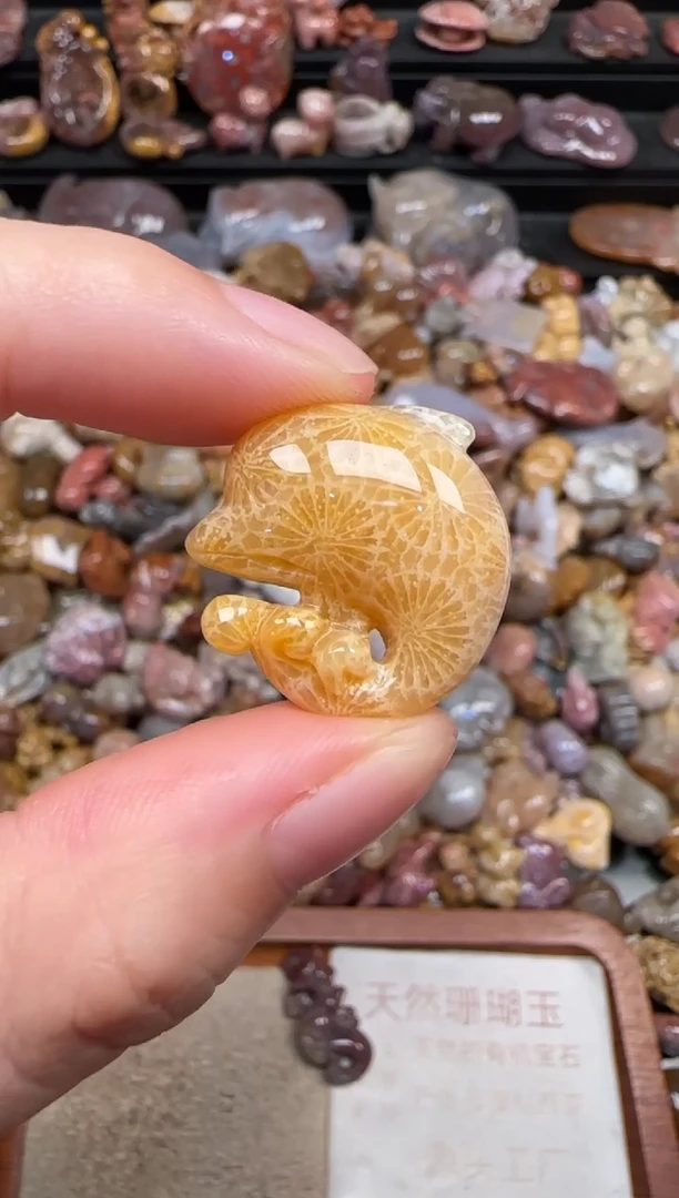 颈饰未镶嵌硅化珊瑚（珊瑚玉）404