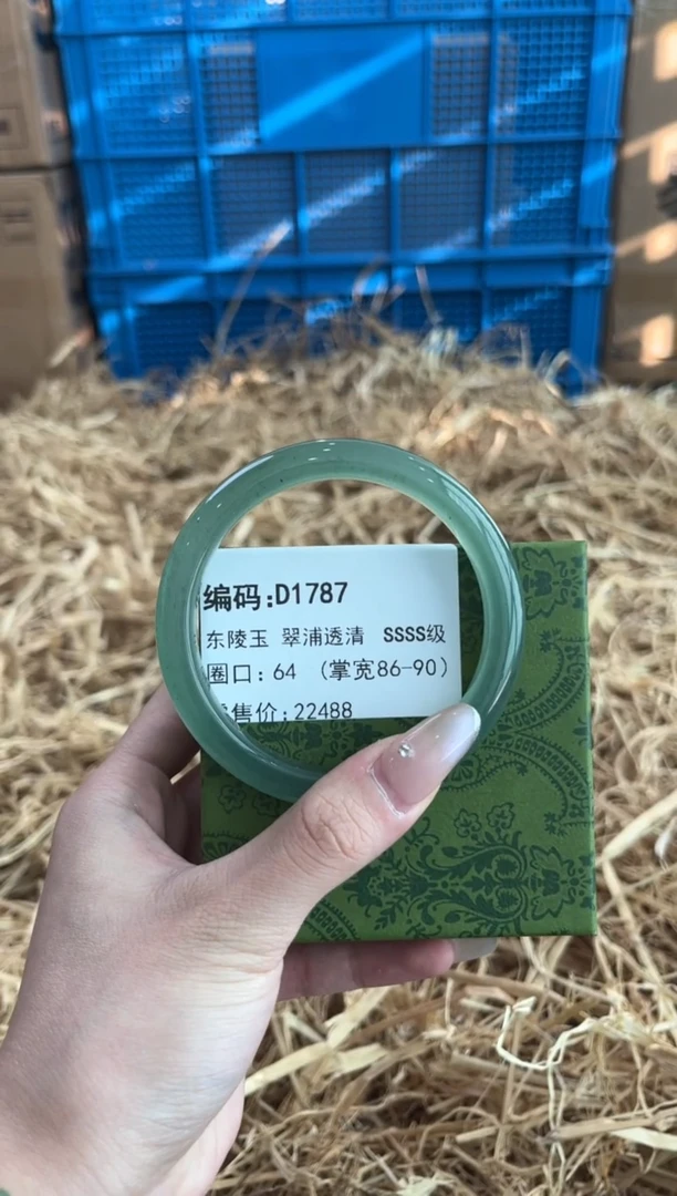 未镶嵌手镯石英质玉D1787