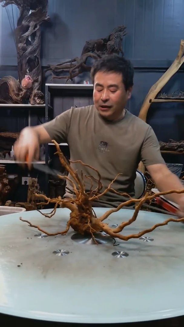 981清香阁清香阁清香阁