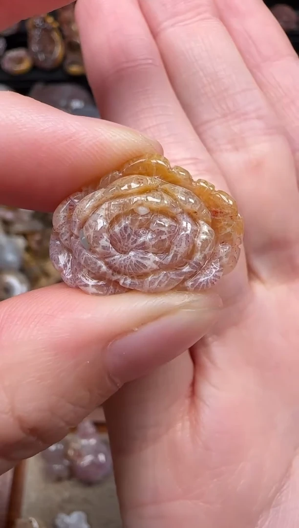 颈饰未镶嵌硅化珊瑚（珊瑚玉）356