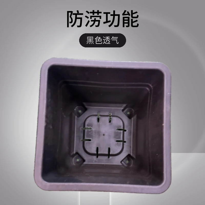 黑方多款透气方盆适合多肉植物盆栽的大号控根盆绿植盆栽室内