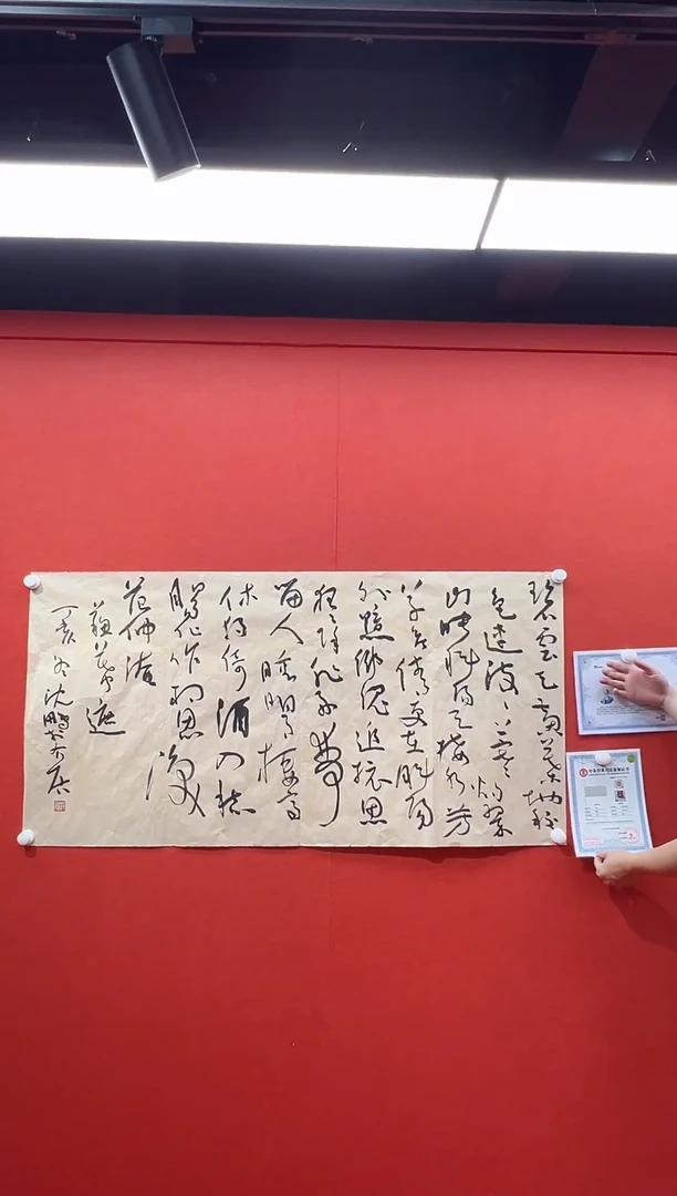 书法复星书画精选作品