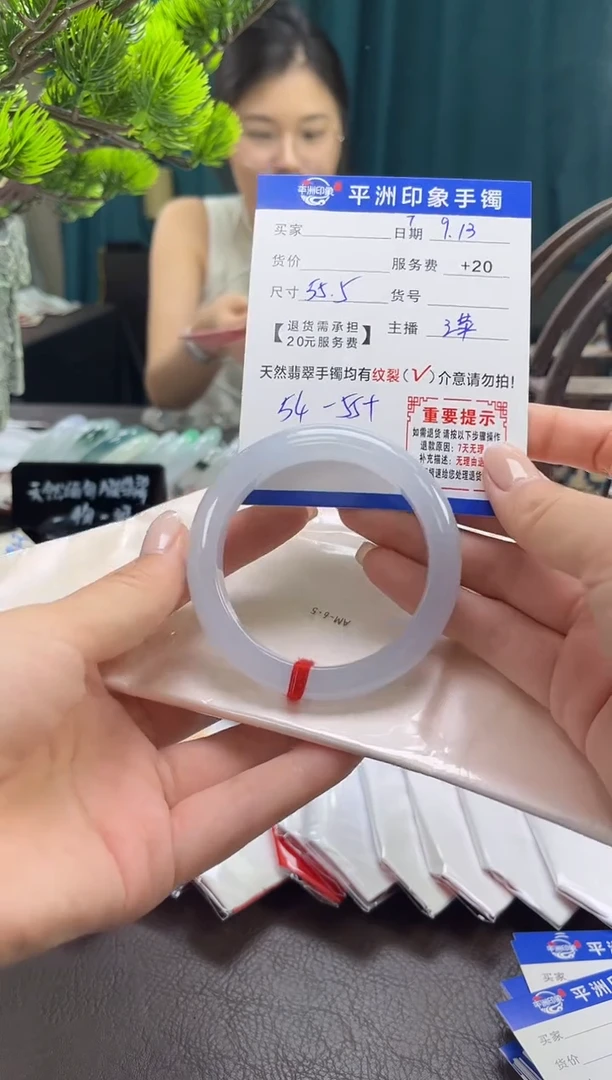 未镶嵌手镯翡翠7