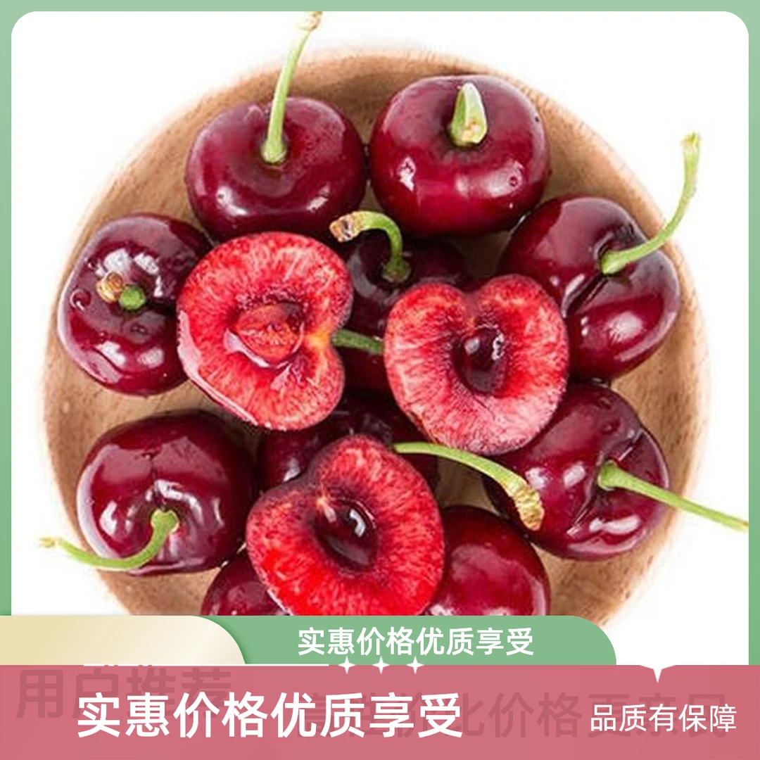 【车厘子季】桑提娜  【XLD】 脆甜多汁 约2500g 海运 未拆封桑提娜智利