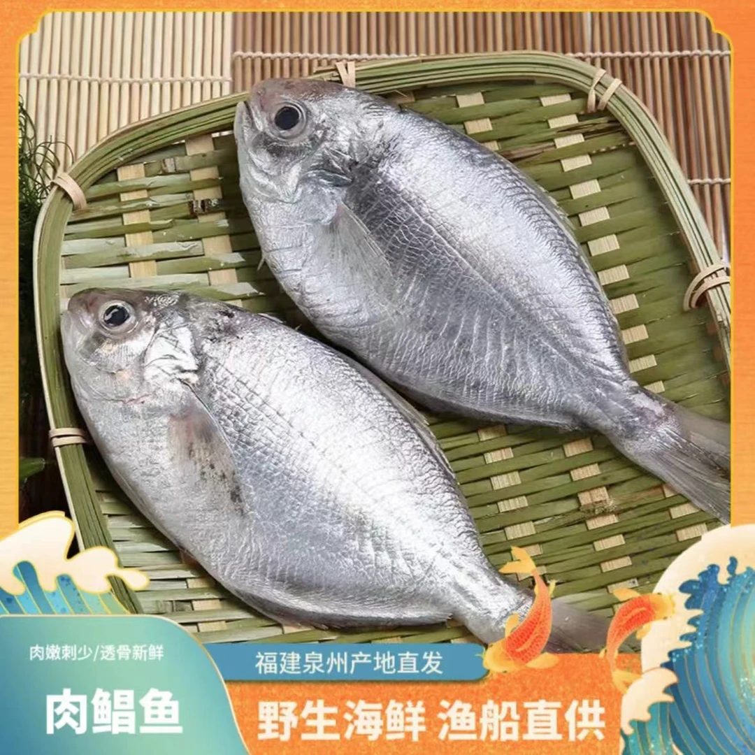 白皮肉鲳/南鲳   直播间称重商品为准 顺丰包鲜到家