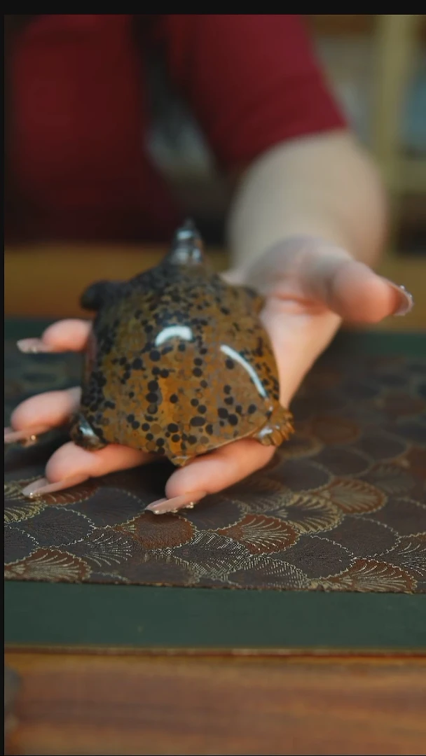 天然金钱石甲鱼茶宠摆件12cm孤品