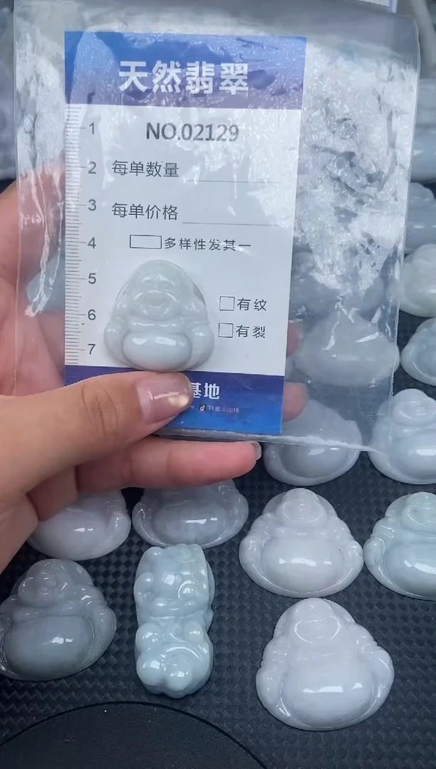 颈饰未镶嵌翡翠纯天然A货翡翠2129