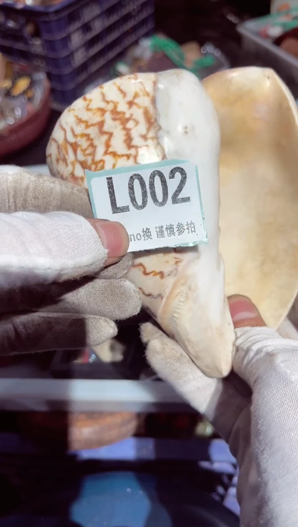 【闪购商品】瓷片瓷片瓷片瓷片瓷片