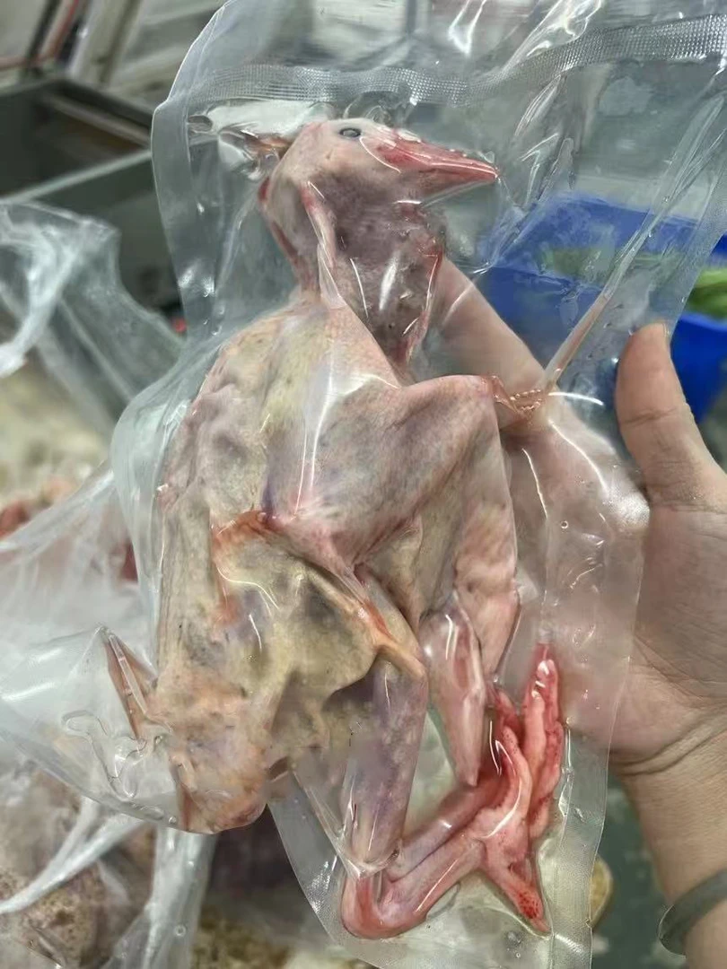 （潮蔬潮味）农家现宰新鲜乳鸽烧烤煲汤土鸽肉鸽煲汤散养可煲汤