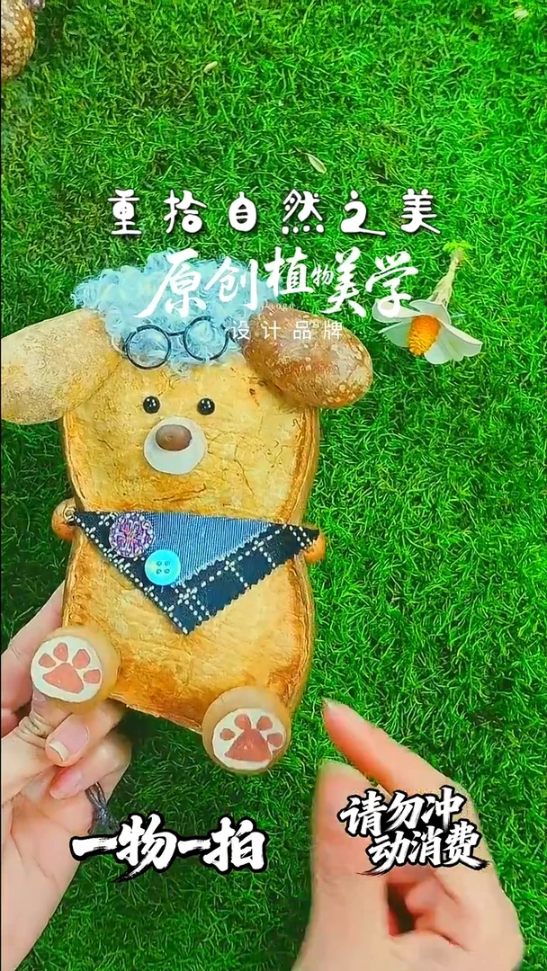 无非金属豆荚娃娃一物一拍