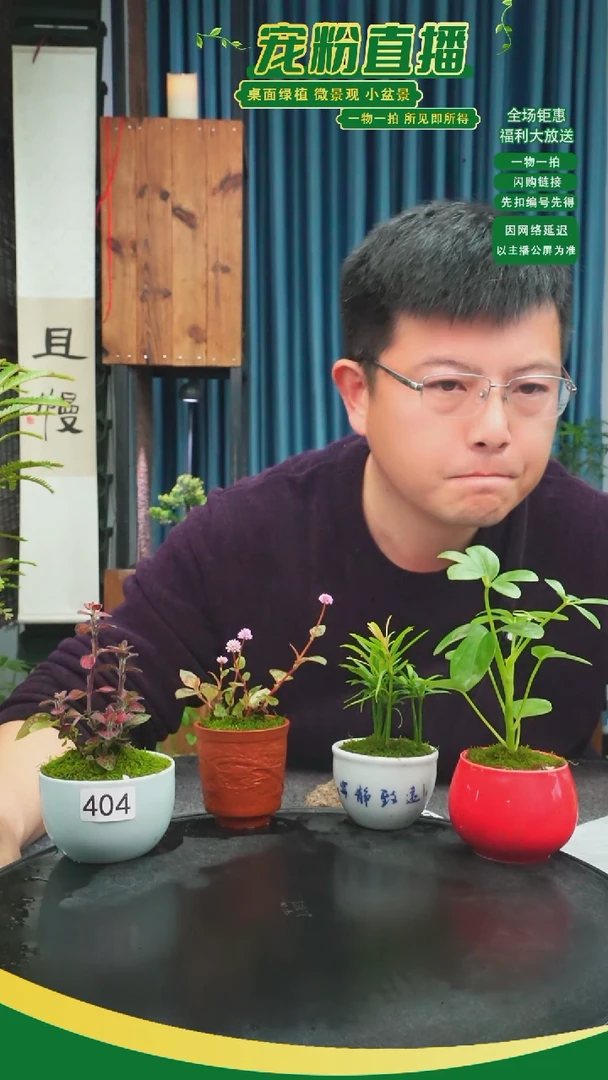 无花朵淞****P苔藓微景观404号