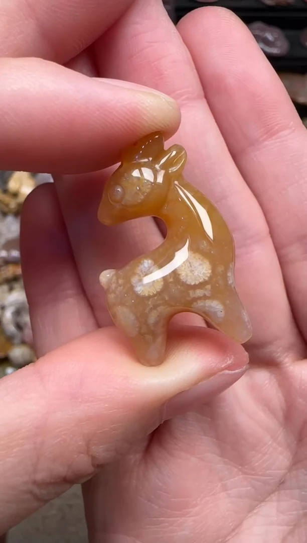 颈饰未镶嵌硅化珊瑚（珊瑚玉）156