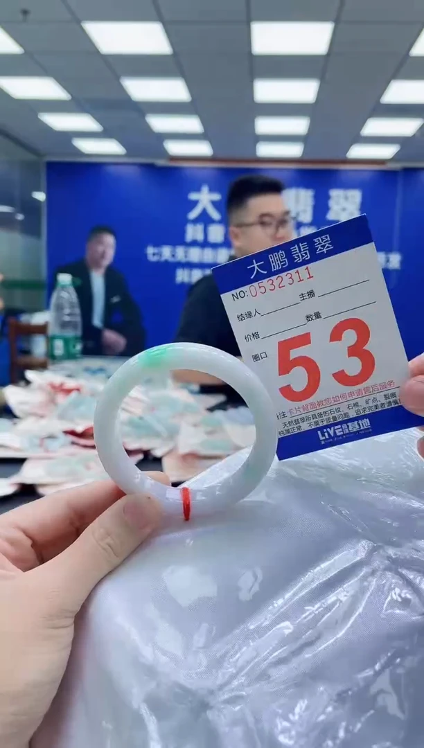 未镶嵌手镯翡翠AAAAAAAAA