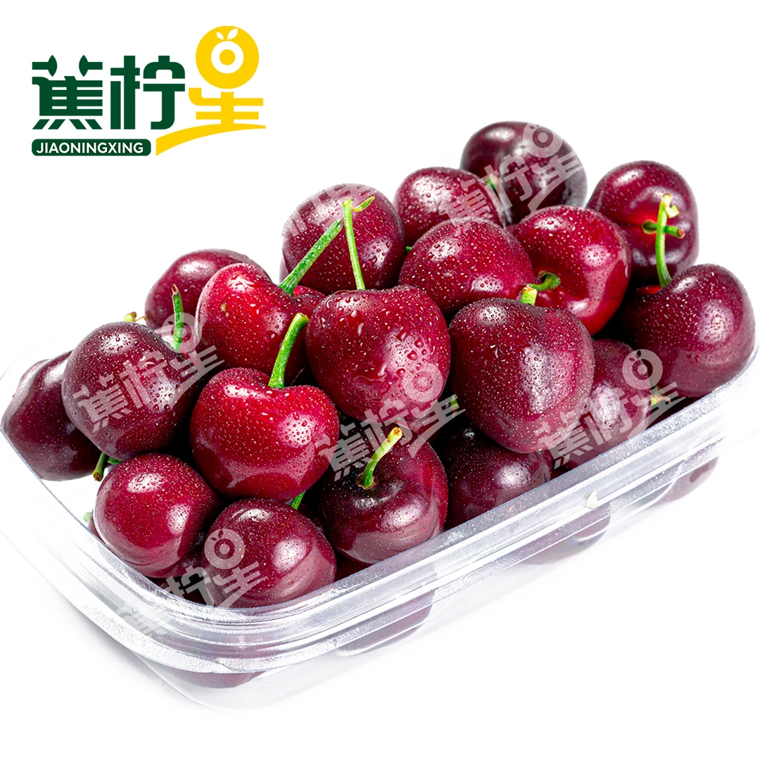 果切【尝鲜】智利车厘子JJJ 100g