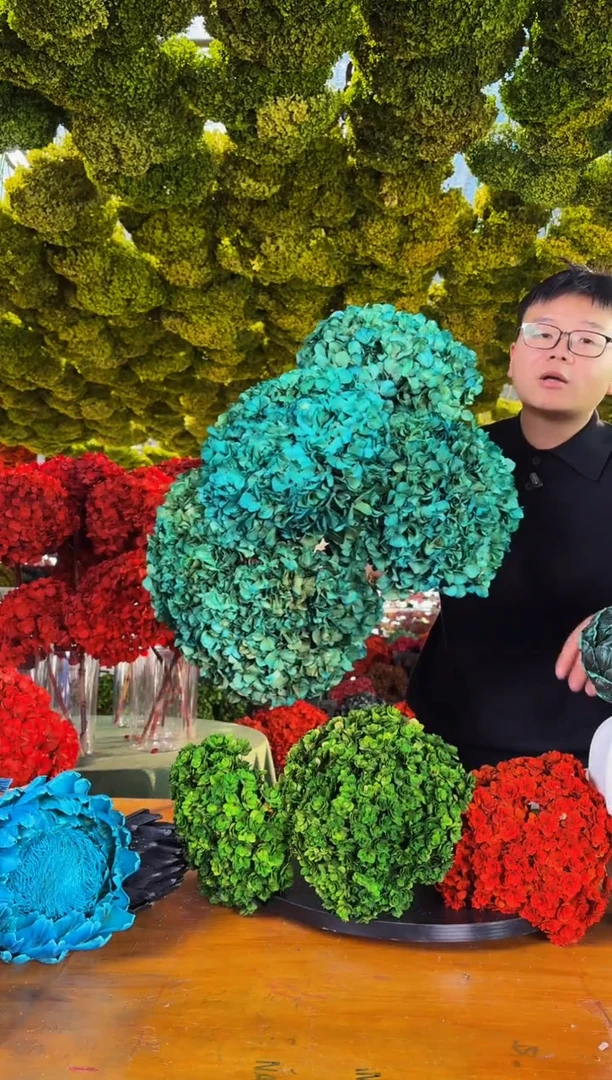 124 山前小麦 · 荷兰进口永生大叶绣球5枝（蓝绿） 特价