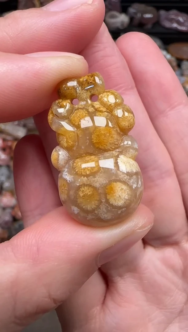 颈饰未镶嵌硅化珊瑚（珊瑚玉）628
