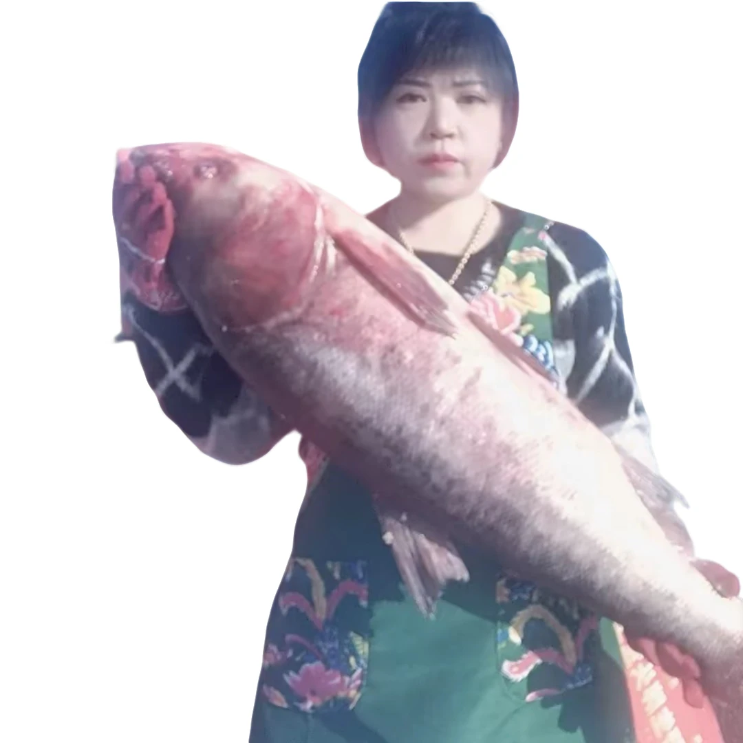 查干碧水胖头鱼价格表