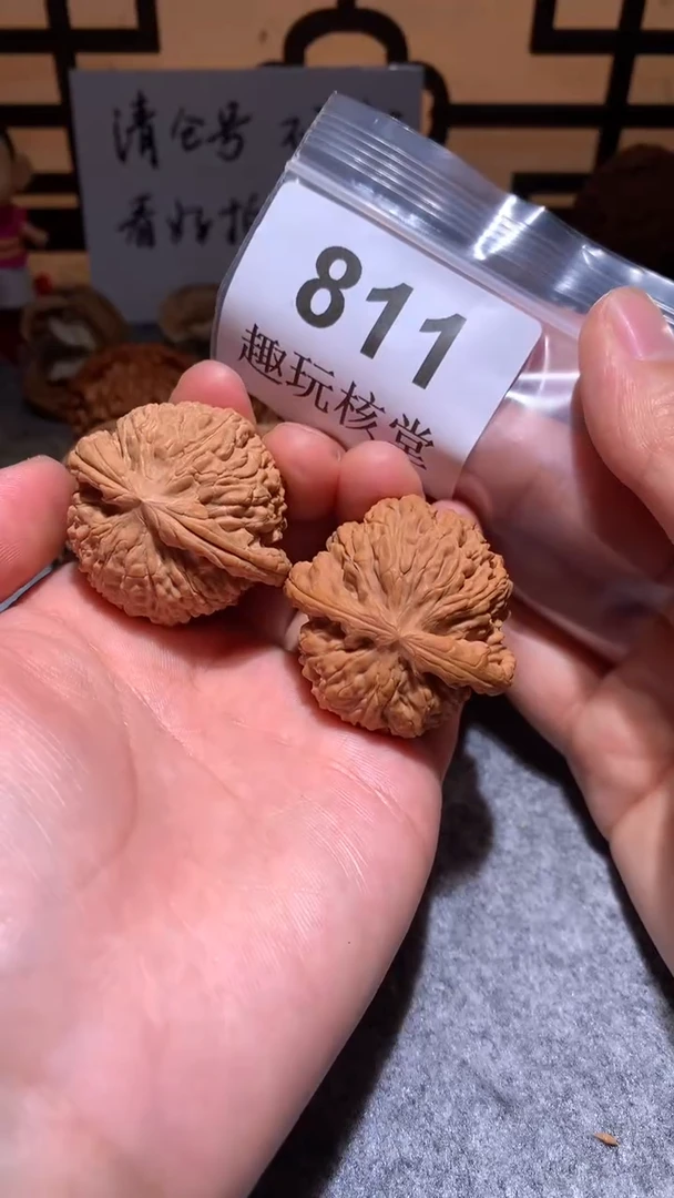 文玩核桃把件【趣玩核堂】 811号，40左右白狮子修尖