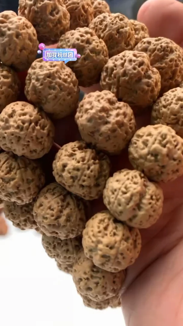 【闪购商品】金刚菩提手串2822222222