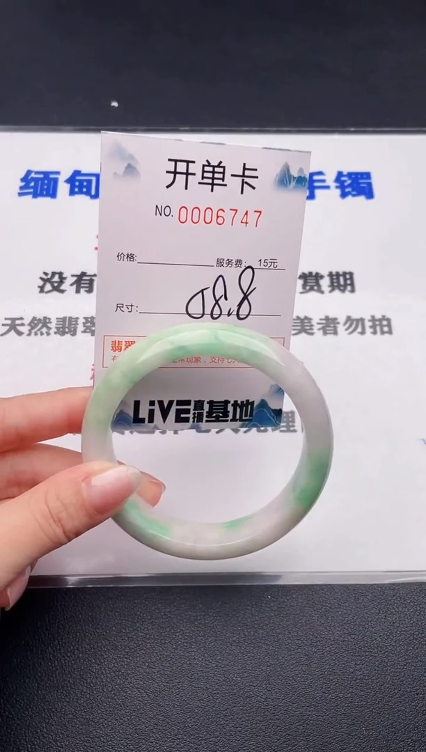 未镶嵌手镯翡翠47