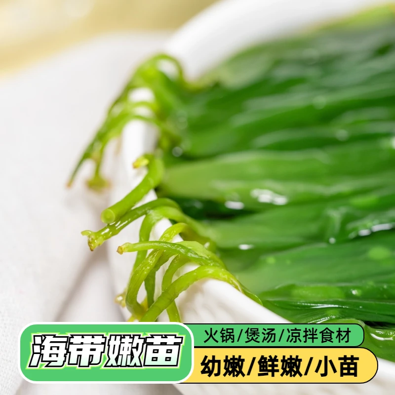 【发5斤】盐渍海带苗霞浦特产营养干净鲜嫩厚实煲汤凉拌2500g