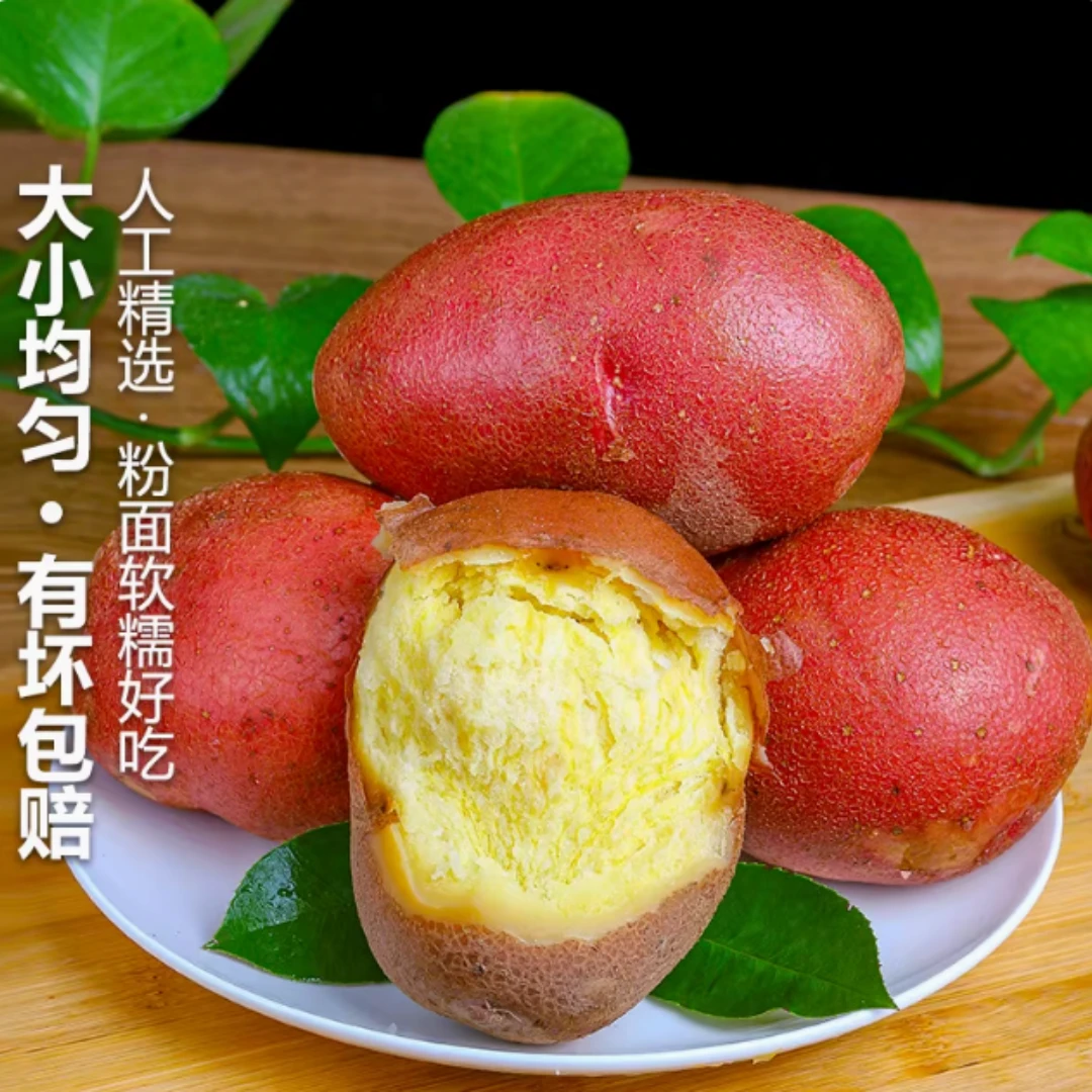 高原藏家 红皮黄心土豆