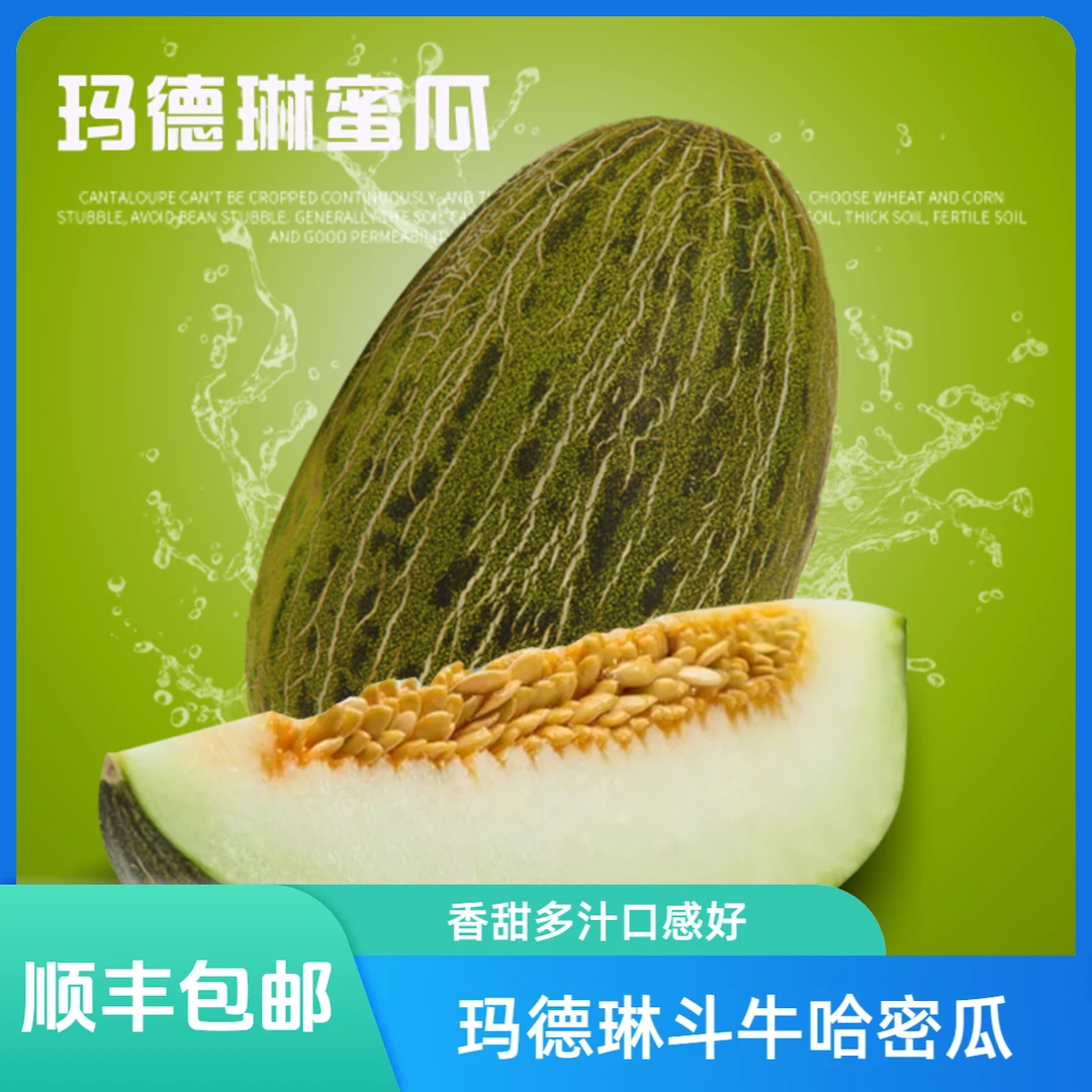 妙色玛德琳蜜瓜 黑金清喉蜜瓜大漠斗牛小瓜冰激凌香甜瓜 顺丰包邮