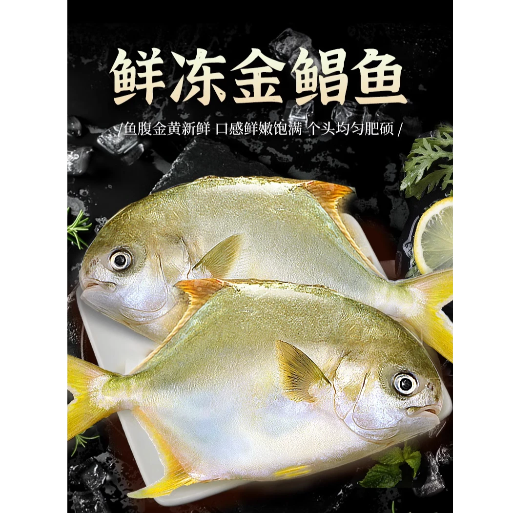 金鲳鱼6条深海鱼海鲜湛江特产宝宝辅食孕期金昌鱼300/400