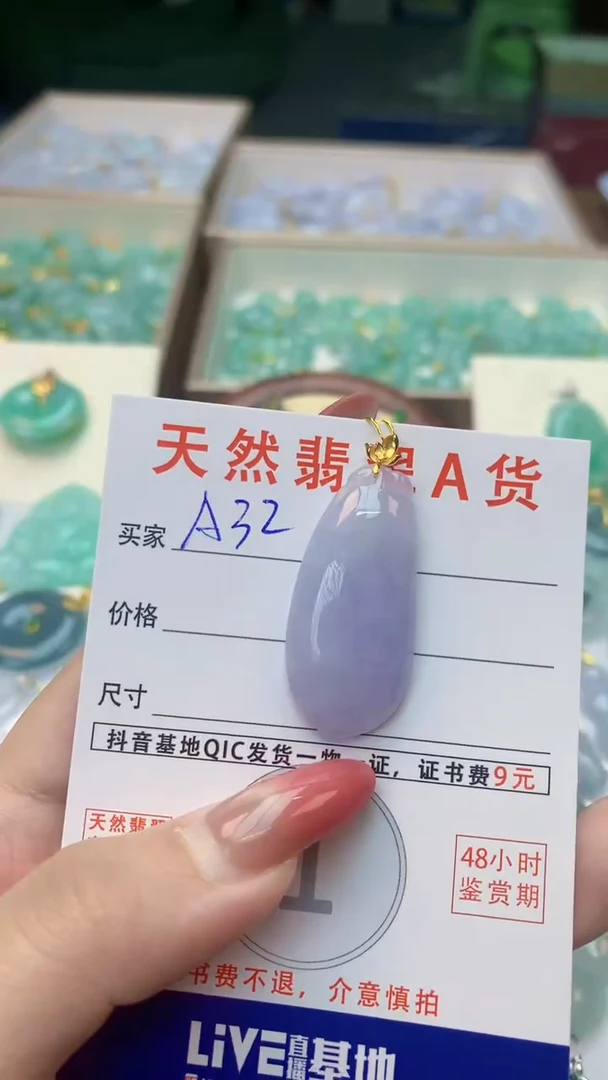 颈饰未镶嵌翡翠天然A货翡翠挂件