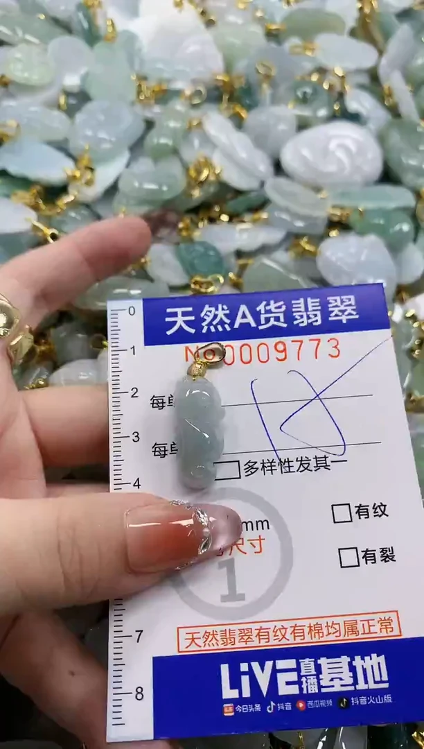 颈饰未镶嵌翡翠天然A货翡翠