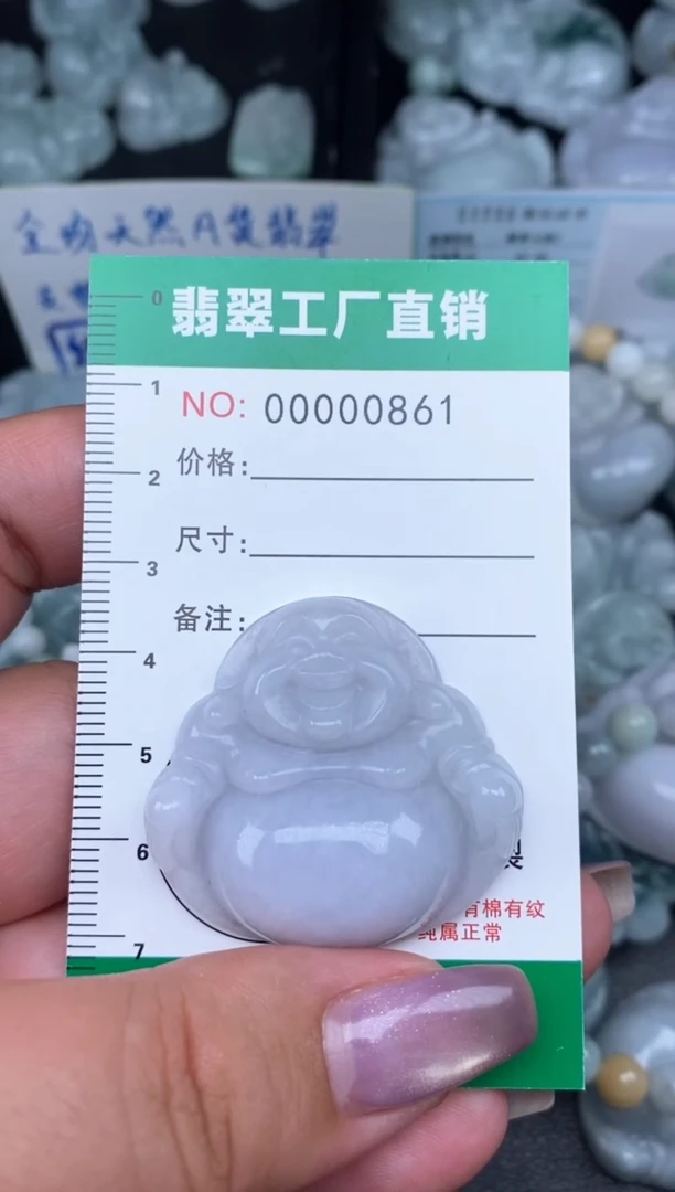 翡翠未镶嵌颈饰缅甸天然A货翡翠0861