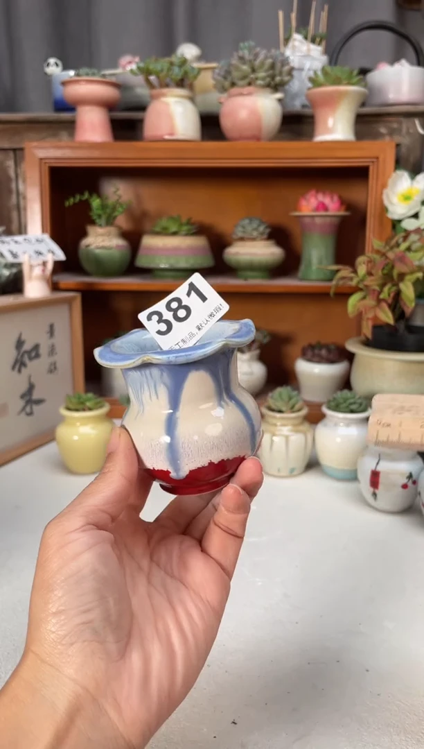 瓷片381小芳直播编号
