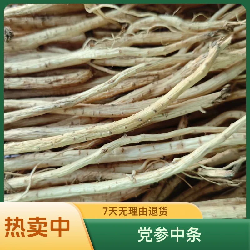 党参干货（九成）中条甘肃岷县原产地甘肃党参直发