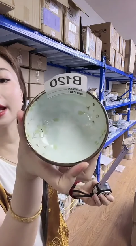 瓷片日本进口瓷器秋樱10CM钵一只B120