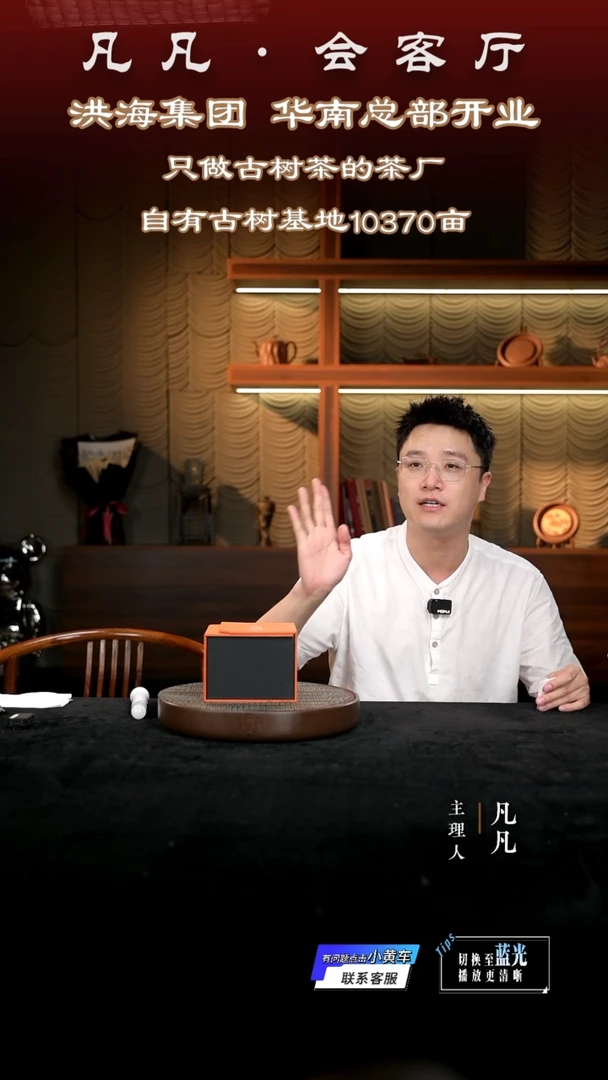 茶壶紫砂凡凡会客厅 紫砂壶05