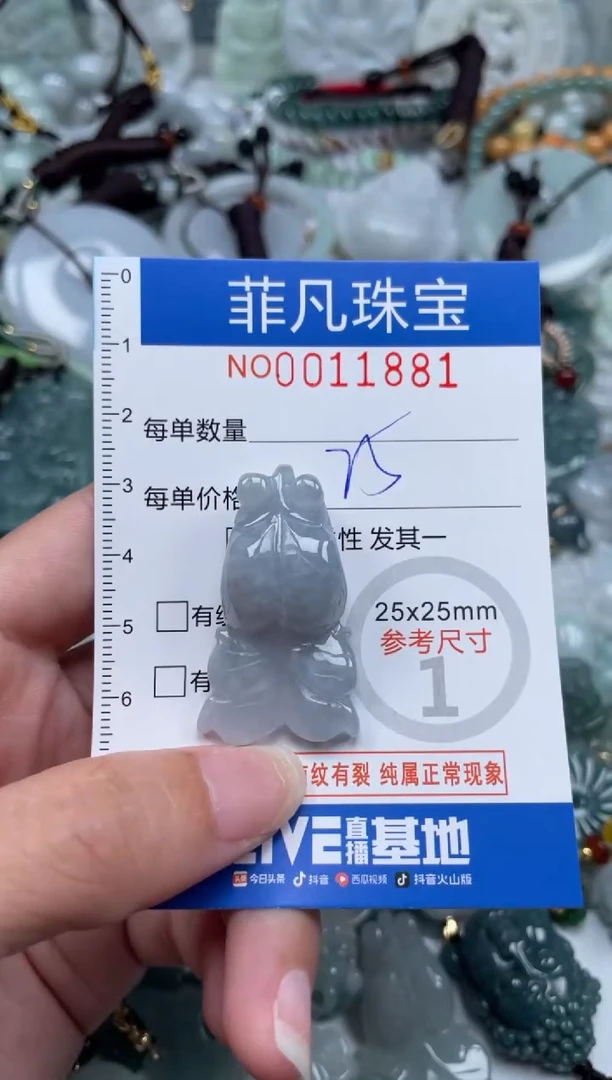 颈饰未镶嵌翡翠11881
